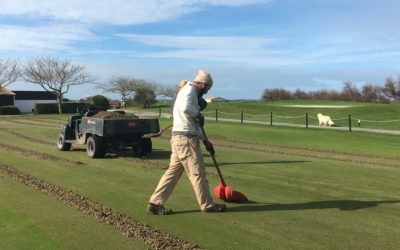 TRAVAUX SUR LES GREENS